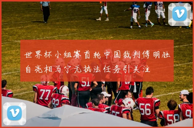 世界杯小组赛首轮中国裁判傅明独自亮相马宁无执法任务引关注