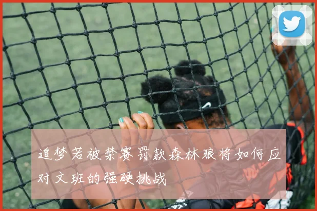 追梦若被禁赛罚款森林狼将如何应对文班的强硬挑战