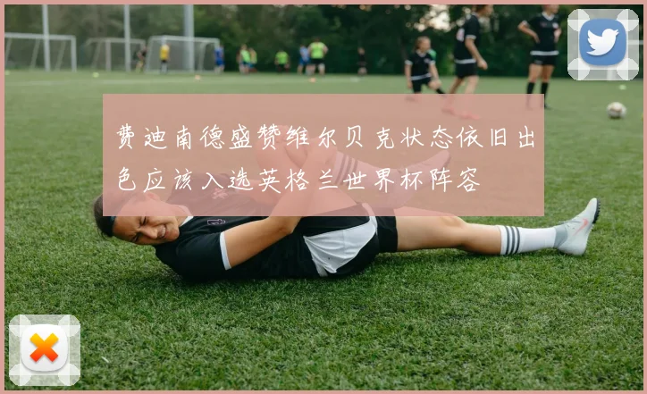 费迪南德盛赞维尔贝克状态依旧出色应该入选英格兰世界杯阵容